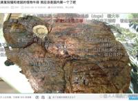 美食up主们有多卷？有人把曹雪芹“编”的菜谱都复刻出来了