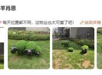 “小区里的小羊肖恩”上热搜，网友：这物业有颗可爱的心