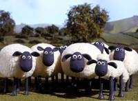 擅自销售“小羊肖恩”衍生品，鸣人公司被判侵犯作品发行权