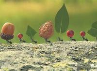 全片无台词，对话靠脑补，看过这三部动画片的人都不简单