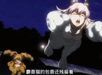 《牙斗兽娘》一块石头的胜利，0战力呆萌兔子躺赢吃鸡！