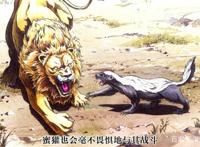 《牙斗兽娘》推荐，兽娘系终于进化到这一步，热血、生存、战斗！