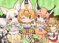 《兽娘动物园》中的濒危动物们，现在究竟怎么样了？