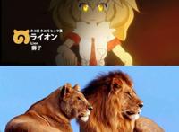 《兽娘动物园》中的濒危动物们，现在究竟怎么样了？