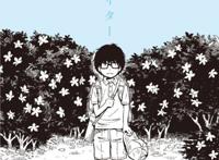 《3月的狮子》，致孤独的人你