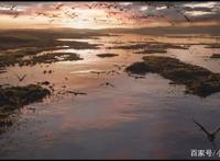 儿时经典动漫出“真人版”！《狮子王》时隔多年风头未减！