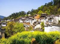 3月最值得去的十个地方，第五个居然是去美人谷“调戏”仙女！