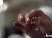 马斯克脑机设备获批人脑试验，“数字永生”时代真的要来了吗？