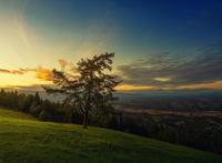 奇幻类小说《银龙玩家》《灾厄少女重生计划》《日式妖怪居酒屋》