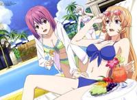 终于有药了，《食戟之灵》完结篇确定放送日期，四月十日正式开吃