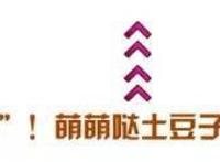 漫改真人都是毁原作？去年这些你看了吗