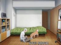 《杀戮重生犬屋敷》以为是忠犬八公的故事，没想到是老年版钢铁侠