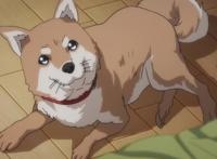 犬屋敷：书写人性的善恶，对于网络暴力的控诉