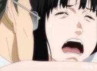 应该如何评价《犬屋敷》这部动漫呢？