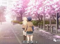 2018年1月新番测评｜《爱吃拉面的小泉同学》，喜欢面食的别错过