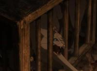 动物差别待遇话题：动画杀猫会反感为什么换成杀鱼就完全无感了？