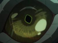 魔法使的新娘第19集：智世被别的男人揉脸，艾利亚斯瞬间吃醋