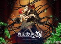 魔法使的新娘：两个特殊的人，一路走来，告诉你这个世界充满希望