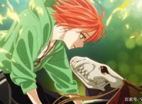 动漫壁纸｜魔法使的新娘