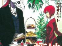 新番日榜第一的动漫难道你还没看这部魔法使的新娘？