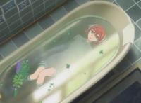 新番日榜第一的动漫难道你还没看这部魔法使的新娘？