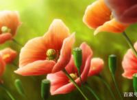 《魔法使的新娘》将推出OAD新作《西之少年与青岚的骑士》