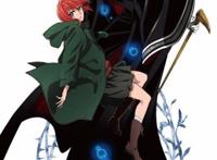 动漫魔法使的新娘：虽然是霸道总裁爱上我，但是剧情清新脱俗