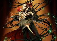 好看动漫！魔法使的新娘！