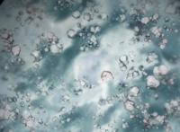 《伊藤润二惊选集》：如果可以在梦里永生，你愿意吗？