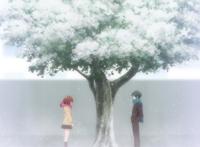 听说你们喜欢看甜甜的恋爱？这部动漫不仅狗粮管够而且口味多样