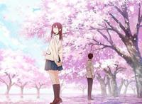 《我想吃掉你的胰脏》为了遇见你，我才选择来到这个世界