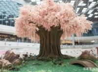 动漫×商业地产，会成中国动漫行业的新常态吗？