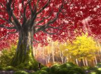 为了制作动漫，直接成立一家动漫制作公司，果然有钱就是任性