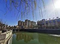 文章：文明之花绽放魅力山城