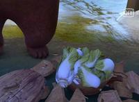 盘点《熊出没》五大穿帮镜头，狗熊岭还有别的人家？