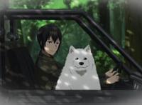 动漫向：《奇诺之旅》睽违14年的动画化