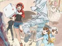 女孩子都喜欢的治愈系动漫，日漫界的小甜甜，小仙女都爱了