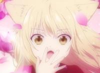 此花亭奇谭：小狐狸的美好日常生活，另一个世界的夏目友人帐