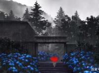 《此花亭奇谭》这部动画全员猫耳娘，有什么好看的？萌就够了！