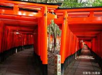 驿站里有狸子们关于生死、眷恋的童话，评《此花亭奇谭》第6集