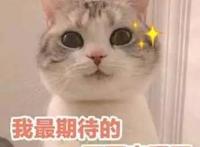 清购物车、拜锦鲤……此刻只想扑进2018爱奇艺FUN盛典的怀里