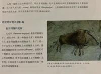 我真的很想说，动画是一门究极的艺术！