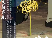 妙先生：成人国漫电影，豆瓣6.3分，杀好人救坏人，你当真看懂了吗