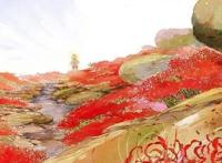 《妙先生》｜国漫崛起后的失与得