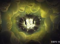 国漫的的又一大进步，《妙先生》到底妙在哪儿？