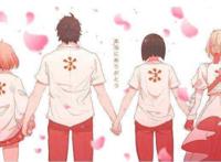 浴火重生！京都动画再开！《小林家的龙女仆S》宣布2021年播出