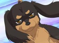 美女与野兽？盘点：二次元动漫中哪些不是人的男主