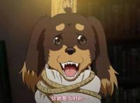 最让人羡慕的几位后宫番男主，就算重生到腊肠狗身上，照样开后宫