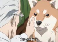 动漫犬屋敷，身患绝症却被家人嫌弃，只有狗陪伴的大叔拯救世界