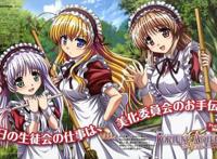 动漫：你是否也曾想过要开一个这样的后宫？